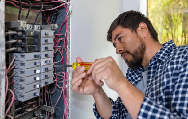 Best Electric Panel Repair  in Biscoe, NC